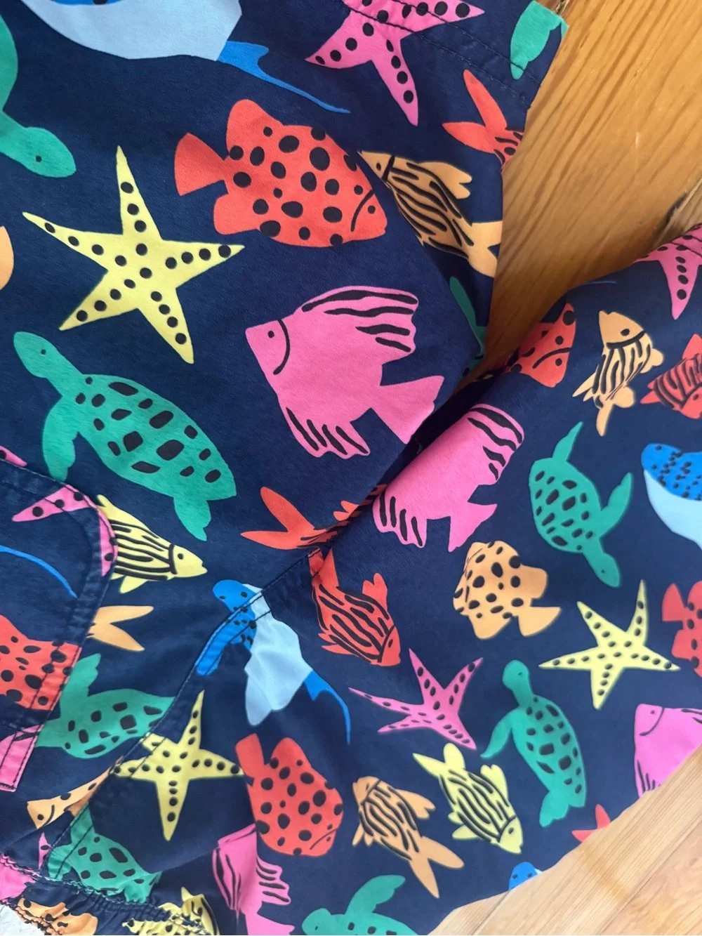 Hanna Andersson Multicolor Sea Life Swim Shorts